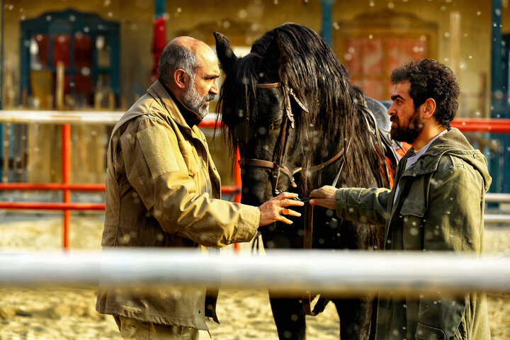 جنجال‌های اسکار تنها مصرف داخلی دارد؛ «ناتوردشت» انتخابی انسانی‌تر بود