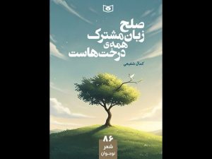 مجموعه‌شعری برای نوجوان‌ها؛ شعر نوجوان کم‌مخاطب نیست، کودکانه است!